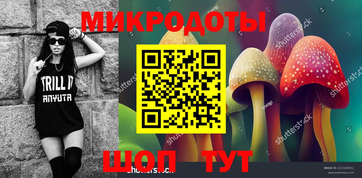 Псилоцибиновые грибы Psilocybine cubensis Орехово-Зуево